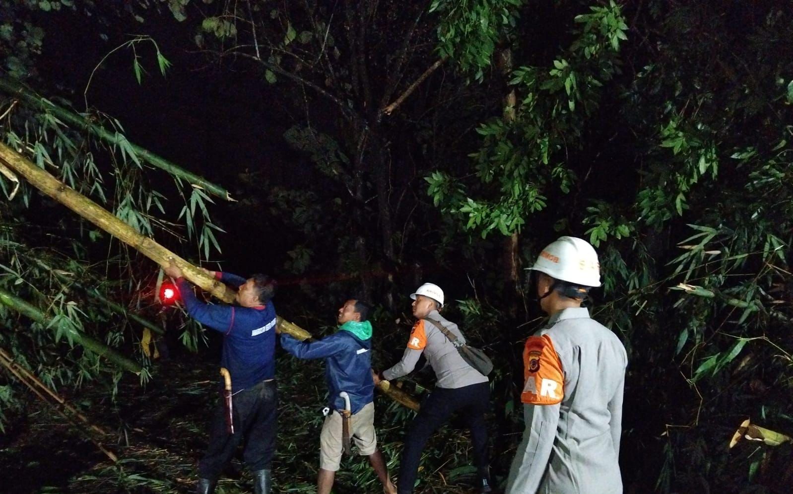 Reaksi Cepat Tim SAR Sat Brimob Polda Jabar Evakuasi Pohon Tumbang di Sumedang