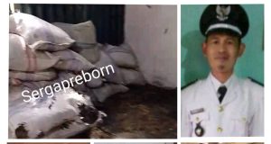 Kontroversi Kantor Desa Ujung Ladang Jadi Tempat Penyimpanan Pupuk Kompos