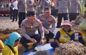 Polresta Bandung Ikuti Penanaman Bawang Putih Serentak, Dukung Ketahanan Pangan Nasional