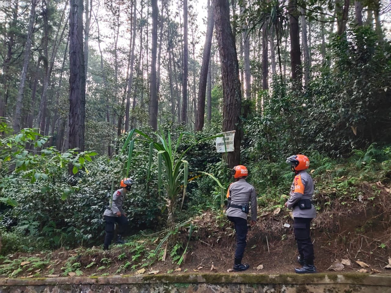 Tim SAR Sat Brimob Polda Jabar Cek Pohon Rawan Tumbang Di Jalan Raya Lembang