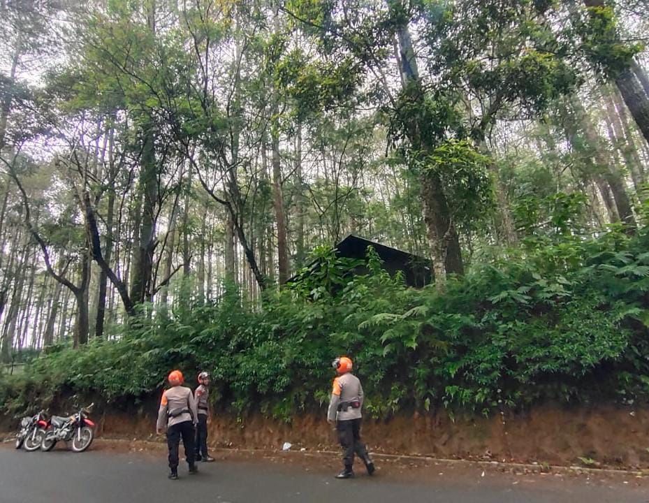 Tim SAR Sat Brimob Polda Jabar, Laksanakan Patroli Siaga Tanggap Bencana Alam Cek Pohon Rawan Tumbang