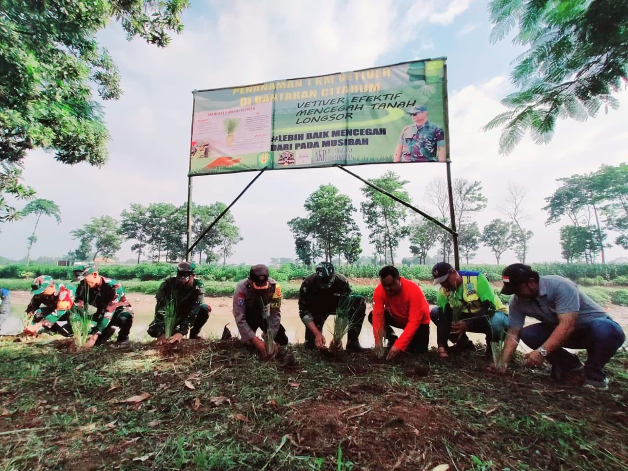 SEKTOR 6 CITARUM HARUM MELAKSANAKAN PENANAMAN VERTIVER UNTUK MENCEGAH LONGSOR DI BANTARAN SUNGAI CITARUM