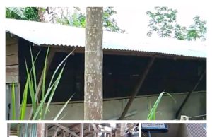 Gagalnya BUMDes Budidaya Bebek Petelur Desa Pasar Baru Diduga Terjadi Penyalahgunaan Wewenang dan Korupsi Terorganisir