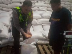 *Sinergi Polri dan Petani, 5 Ton Jagung Garut Siap Perkuat Stok Pangan Nasional*