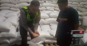 *Sinergi Polri dan Petani, 5 Ton Jagung Garut Siap Perkuat Stok Pangan Nasional*