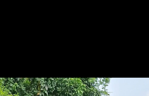 Menanggapi Video Viral TPU Tidak Ada Akses Jalan, Kades Ciledug Sigap