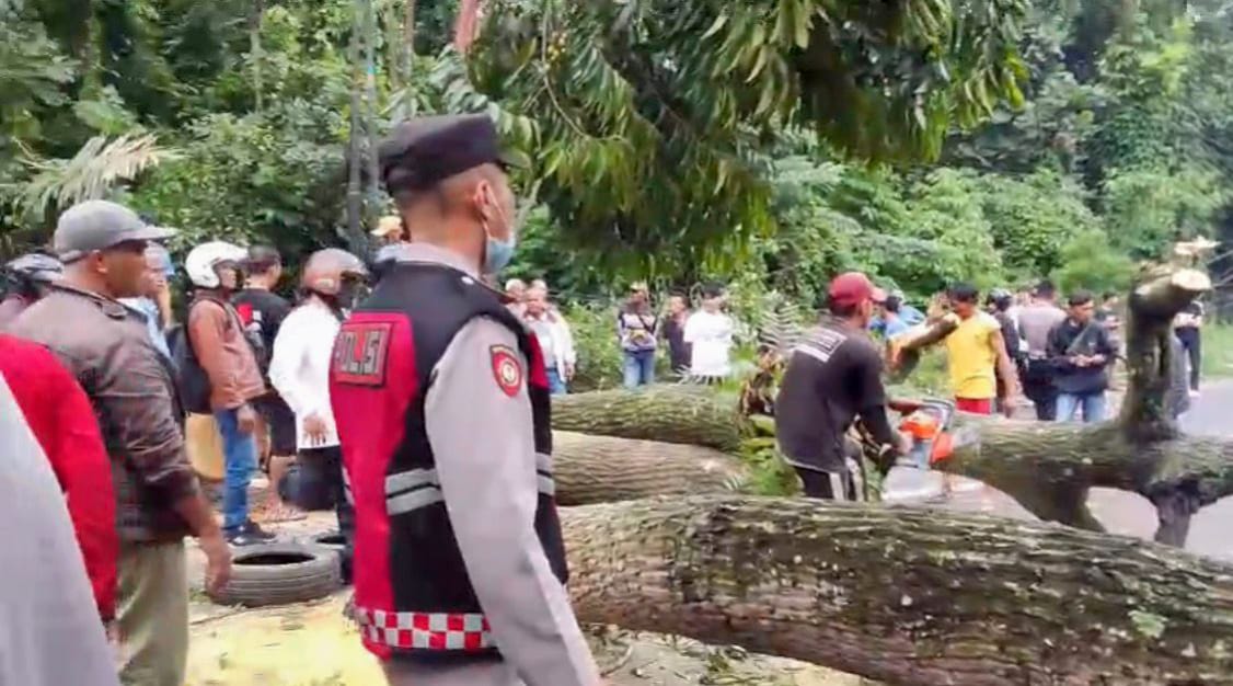 Polisi Evakuasi Pohon Tumbang di Paslon Nagreg