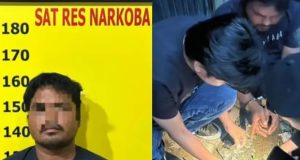 Satresnarkoba Polres Kerinci Ringkus Sopir Ekspresi pengendali Sabu Jaringan Lapas Jambi
