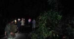 Gerak Cepat!! Polisi Tangani Pohon Tumbang dan Longsor, Arus Lalu Lintas Kembali Normal