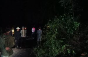Gerak Cepat!! Polisi Tangani Pohon Tumbang dan Longsor, Arus Lalu Lintas Kembali Normal