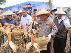Kapolda Jabar Dorong Petani Lepas dari Tengkulak dalam Panen Raya Jagung di Indramayu