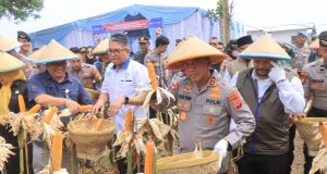 Kapolda Jabar Dorong Petani Lepas dari Tengkulak dalam Panen Raya Jagung di Indramayu