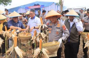 Kapolda Jabar Dorong Petani Lepas dari Tengkulak dalam Panen Raya Jagung di Indramayu