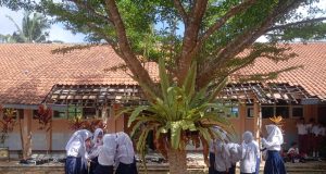 SANGAT MENYEDIHKAN,ðŸ˜ðŸ˜ MPLS SMPN 3 RAJADESA KONDISI BANGUNAN RUSAK PARAH