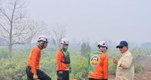 GAPERKASINDO Dukung Langkah Tegas Pemerintah, Tolak Pembakaran Lahan