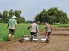 Dukung Ketahanan Pangan, Polisi Dampingi Uji Coba Sistem PMAAS di Sawah