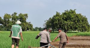 Dukung Ketahanan Pangan, Polisi Dampingi Uji Coba Sistem PMAAS di Sawah